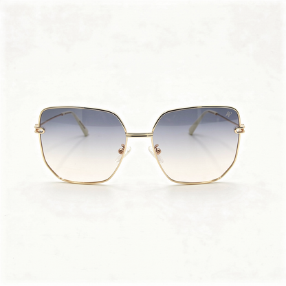 RX : APOLLO AP3113