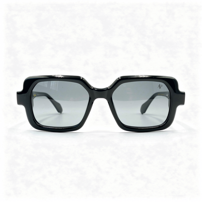 RX : APOLLO AP3110